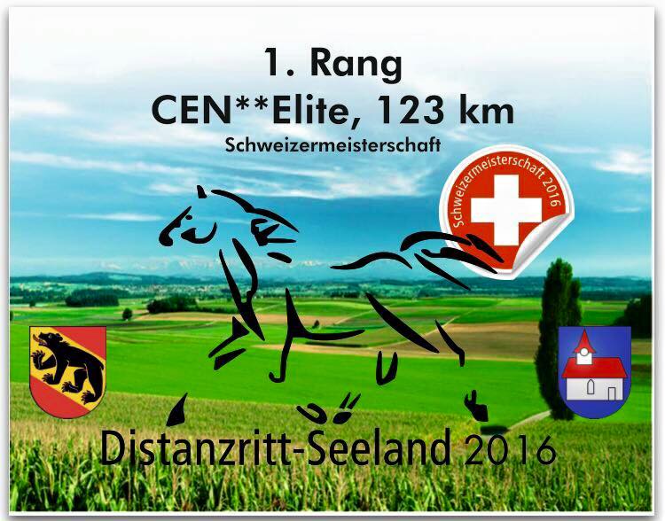 2016-08-distanzritt-seeland-1