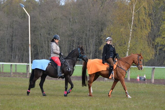 Katharina Gericke 5 Distanzreiten